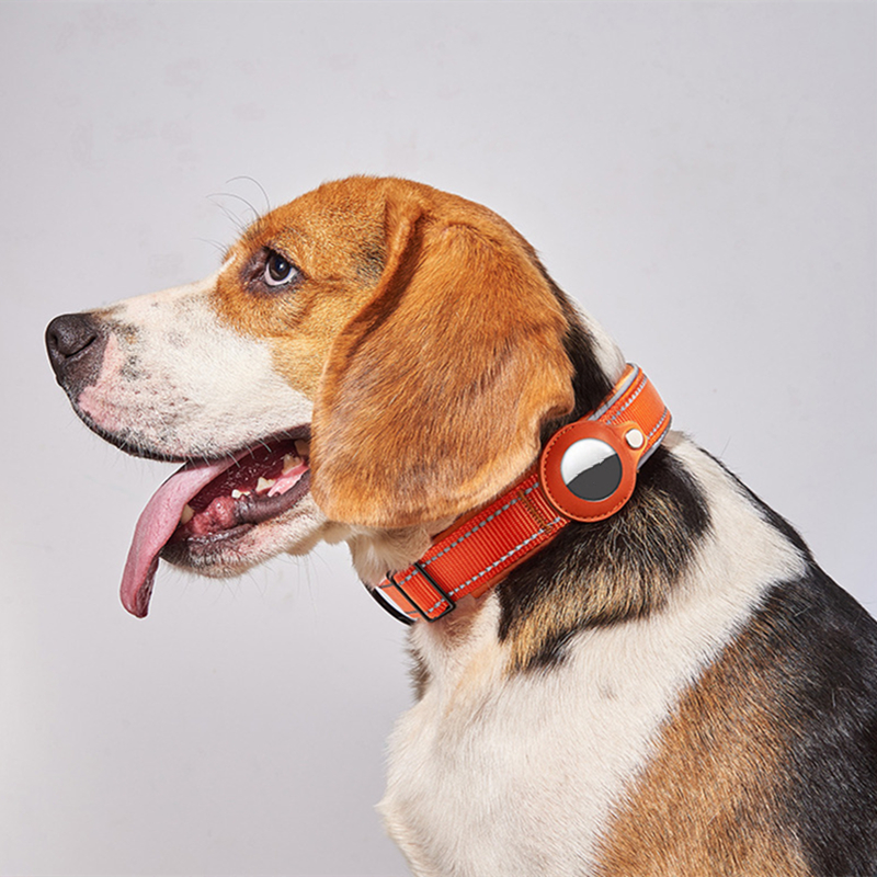 Pet Positioning Collar Spec 8.jpg