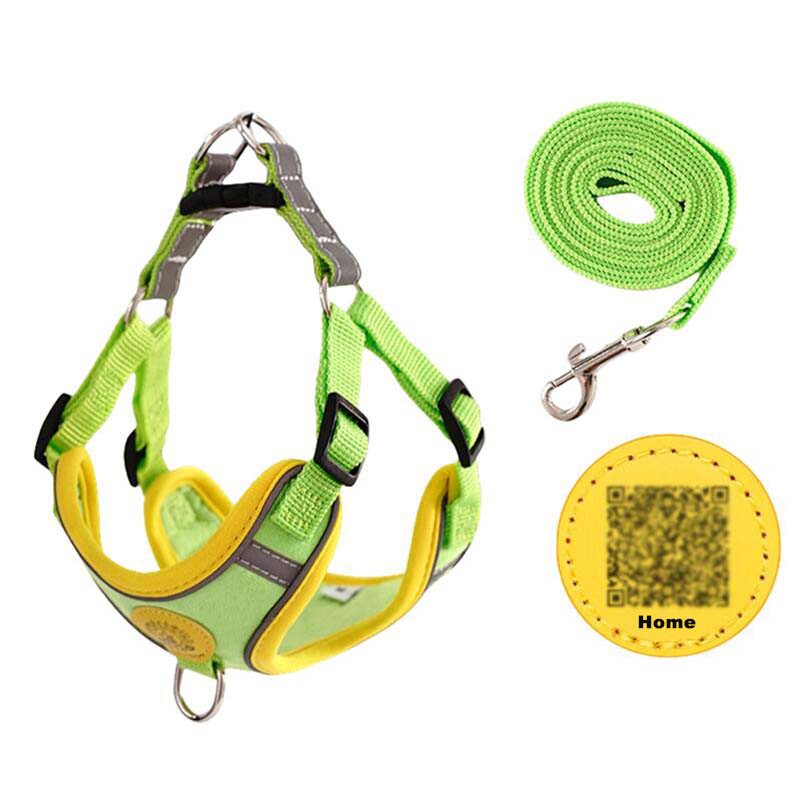Reflective Adjustable Dog Harness with Leash – OEM/ODM Pet Supplies